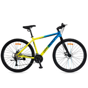 Bici Gribom R29″ 24 vel. MTB COUVET