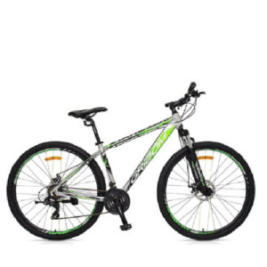 Bici Gribom R29″ 21 vel.