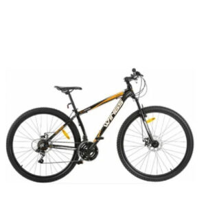 Bici Wings R29″ 21 vel.