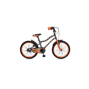 BICI R20″ FLOYD GRIBOM 2320