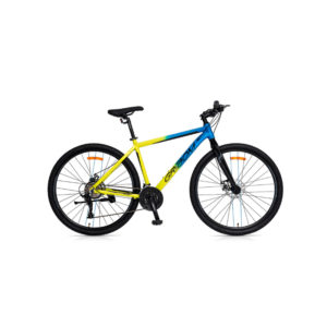 BICI R29″ COUVET WIN GRIBOM 2932L