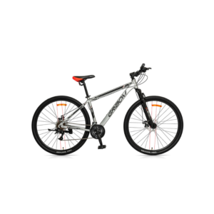 BICI R29″ ASPEN GRIBOM 2953M