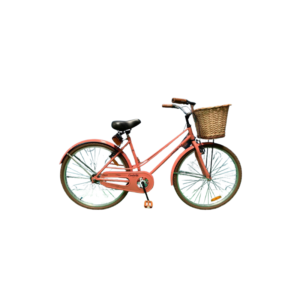 BICI R26″ CAMBRIDGE GRIBOM 3470D