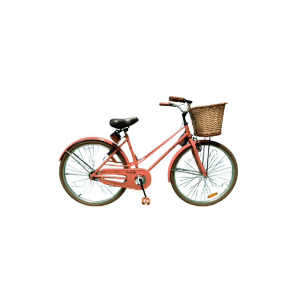 BICI R26" CAMBRIDGE GRIBOM 3470D