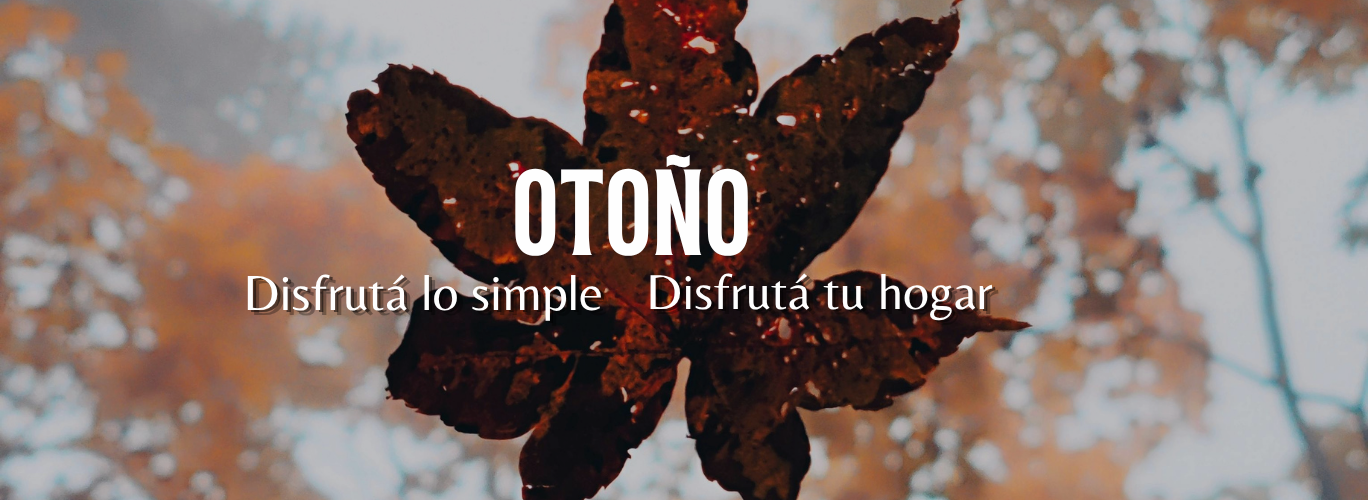 slide web 1368 x 500 (9)